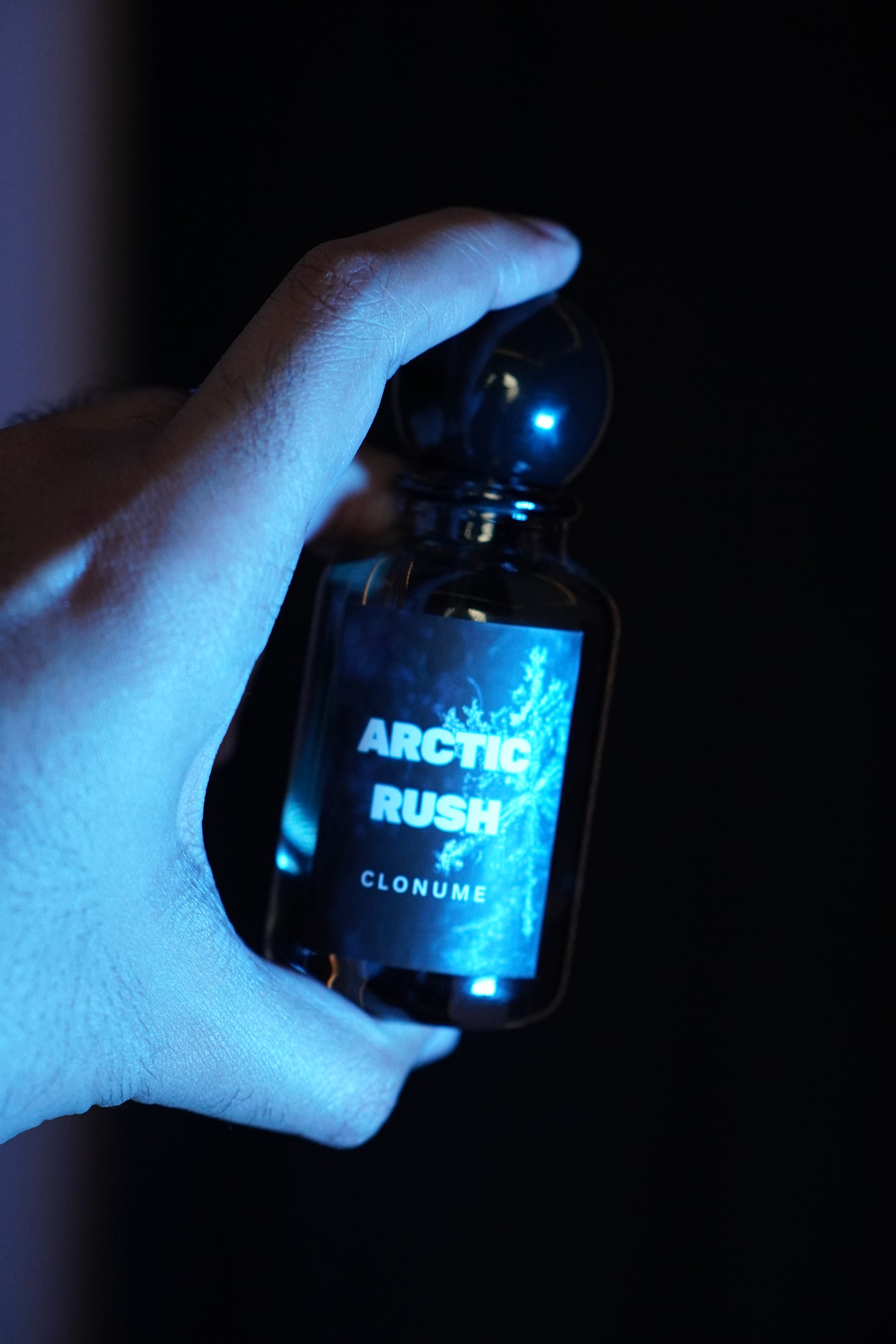 Arctic Rush